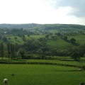 Field Survey In Wales